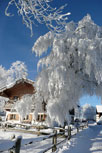 Ferien auf dem Lerlhof: Frostiger Wintertag