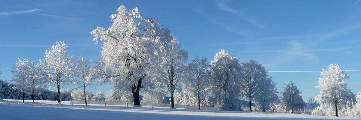 Ferien auf dem Bauernhof: Der Lerlhof im Winter