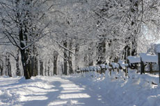 Ferien auf dem Lerlhof: Zufahrt im Winter
